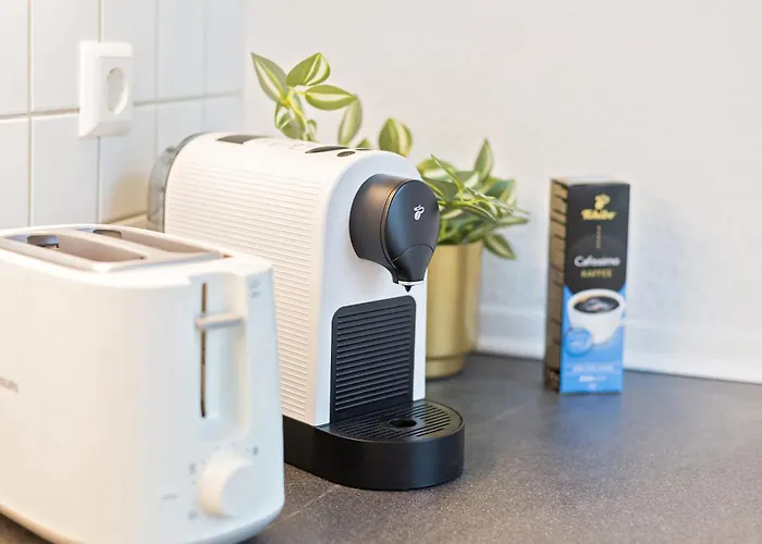 Stadtoase 开姆尼茨